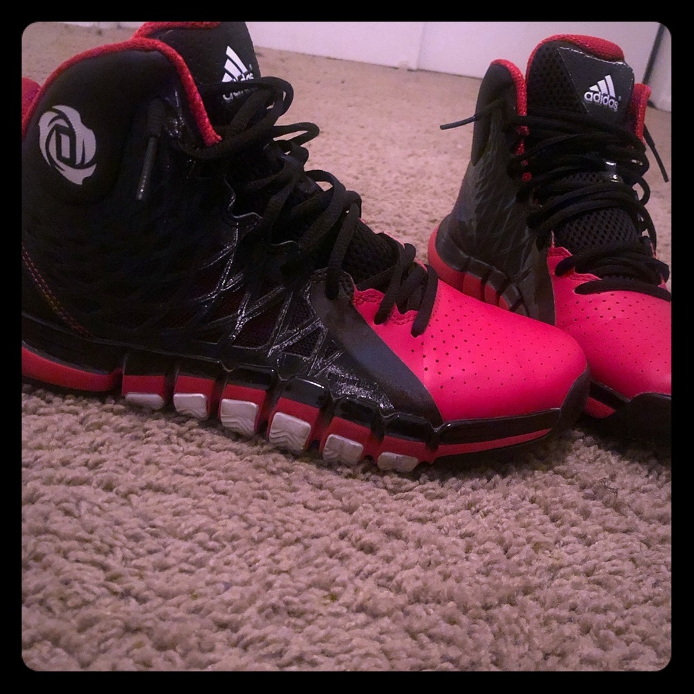 D Rose 773s